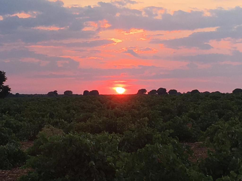 比利亚罗夫莱多 Casa Rural La Navarra旅馆 外观 照片