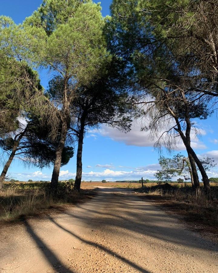 比利亚罗夫莱多 Casa Rural La Navarra旅馆 外观 照片