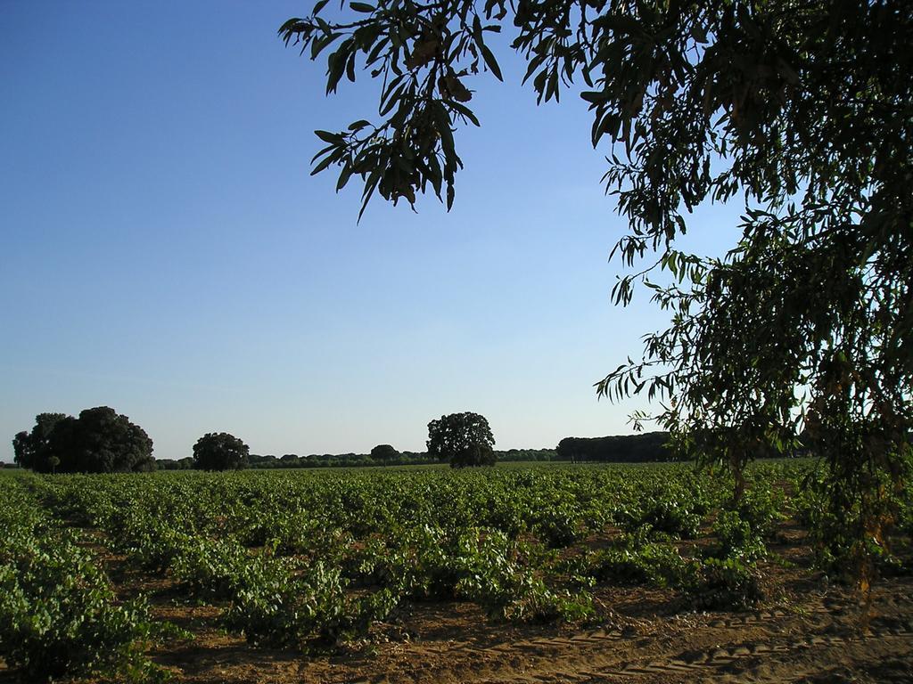 比利亚罗夫莱多 Casa Rural La Navarra旅馆 外观 照片